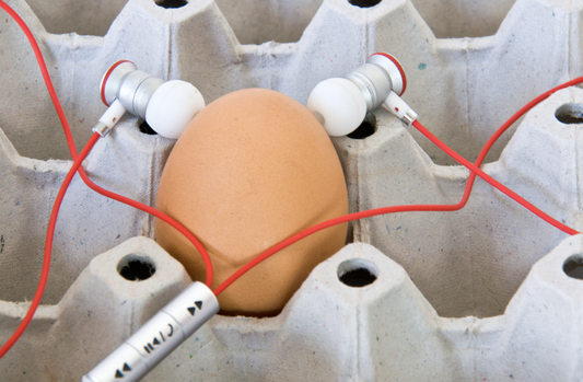 Do Egg Cartons Really Soundproof a Room? The Truth Behind the Myth